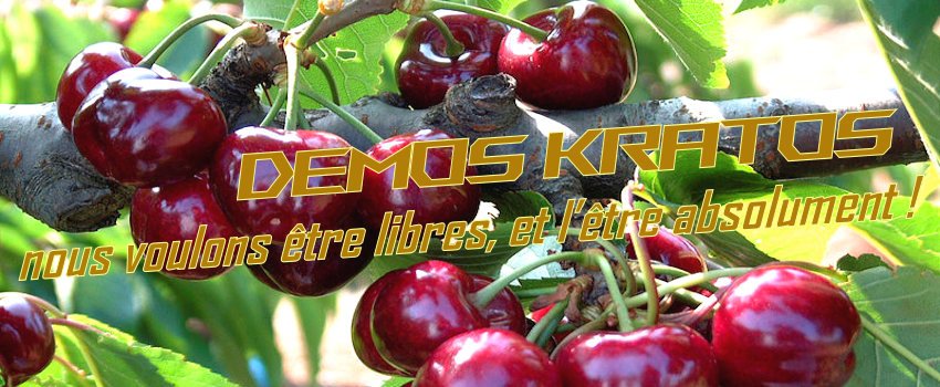 blog-header-image